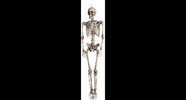 Boland - Decoratie Skelet - 160cm