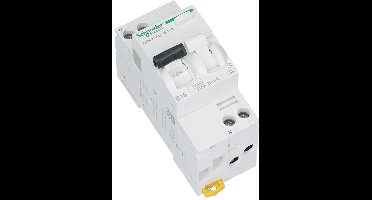 Schneider Electric Aardlekschakelaar - A9DC3606 - E2YXV