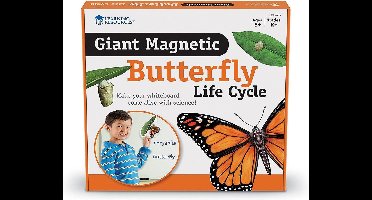 Reuze magnetische levenscyclus van een vlinder