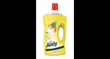 Andy Citroen Fris