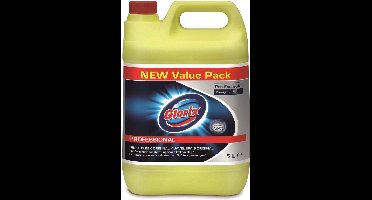 Glorix Bleek - Professional 5L