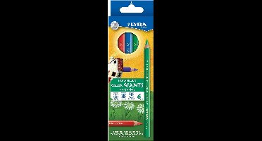 Lyra Box Of 6 Lyra Colour Giants®, Polished Asst'D