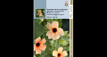 Hortitops zaden - Thunbergia, Suzanne-met-de-mooie-ogen African Sunset - 0,25 gram