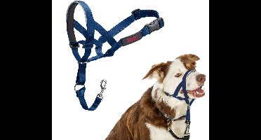 Halti Headcollar - Cobalt Blue - Maat 2