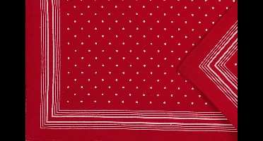 Vangelderen Boeren zakdoek rood kleine stippel 55 x 55 cm - Katoen - HRBZ017