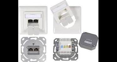 Wandcontactdoos CAT6 inbouw afgeschermd 2 x RJ45 40° draaibaar wit