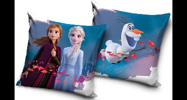 Disney Frozen kussenhoes 40x40 cm Velour