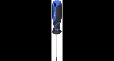 BRILLIANT TOOLS schroevendraaier TORX T6 - BT034901