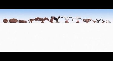 NOCH 15775 H0 Set vogels figuren Geverfd
