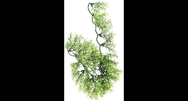 ZooMed - naturalistic flora - australian maple - large - terrariumplant