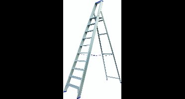 Solide Professionele Trap Type PT - 1x10 treden