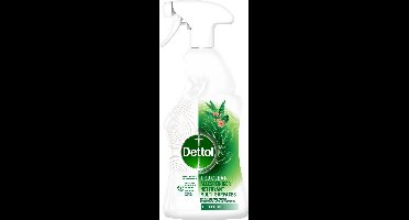 Dettol Allesreiniger Spray - Tru Clean - Eucalyptus - 500 ml
