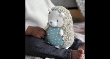 Pluche mascotte Bright Starts Friend Egel BS 12374