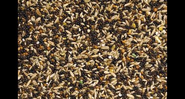 Deli nature kanariezaad standaard - 5kg