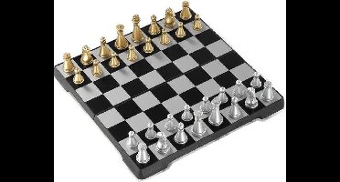 Magnetisch Reisschaak