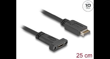 Delock USB 10 Gbps Cable USB Type-E Key A 20 pin male to USB Type-C™ female panel-mount 25 cm