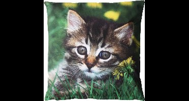Esschert Design Buitenkussen poes Buitenkussens