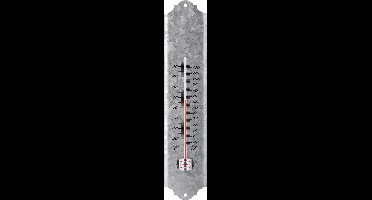 Thermometer 30 cm - Oud zink