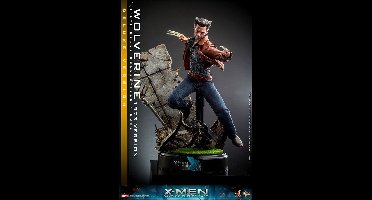 Hot Toys Wolverine 1973 Deluxe Version 1:6 Scale Figure - Hot Toys - X-Men Days of Future Past Figuur
