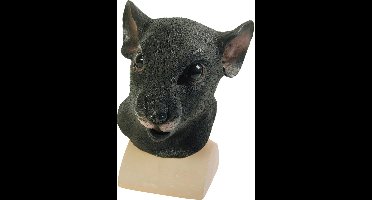 Rat Masker Van Latex