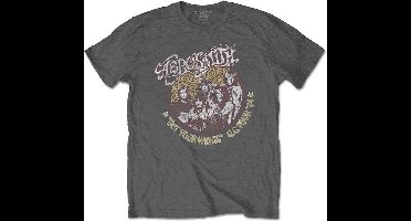 Aerosmith - Cheetah Print Heren T-shirt - L - Grijs