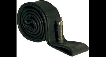 Rexway Binnenband - 20 inch - Dunlopventiel