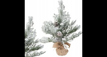 Hangzhou A Link Star Technology - Kunstkerstboom - Sneeuw - Kleine 45cm - Groen