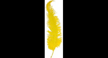 Witbaard Struisveer 50-60 Cm Geel