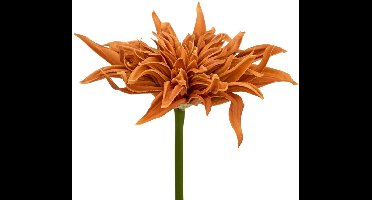 Homy decoratieve staaf H. 55 cm