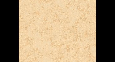 BETONLOOK BEHANG | Industrieel - oranje - A.S. Création Blooming