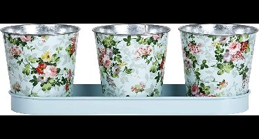 Bloempotjes op tray 3 stuks