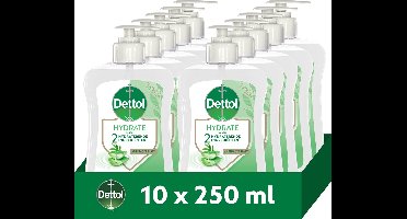 Dettol Hydrating Aloe Vera 250ML - 10 Stuks - Voordeelverpakking