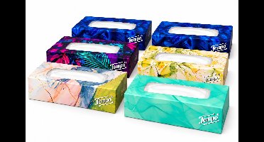 Tempo Zakdoeken 4-laags – 6 Pakken van 100 Stuks – 600 Zakdoeken – Verschillende Designs – Zacht en Sterk