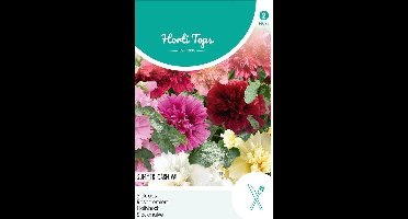 Althaea Rosea Summer Carnival Bloemzaad - Stokroos