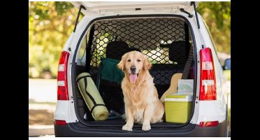 HP Autozubehör 19980 Bagage- en kofferbaknet Geschikt voor model Universeel (l x b) 130 cm x 87 cm Zwart