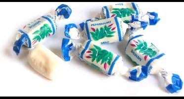 De bron minttoffee suikervrij snoep - 1kg