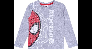 Grijze jongensblouse met Spider-Man motief