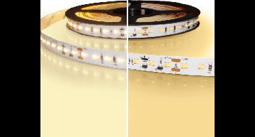 5 meter led strip IP20 24V - dim to warm - 224 leds p/m