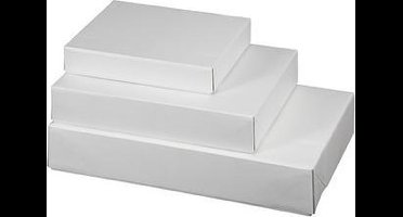 SMARTBOXPRO e-commerce telescoopdoos, medium, wit