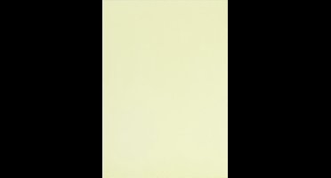 Happy Moments Vellum-papier A4 100 Gram Lichtgroen 10 Stuks