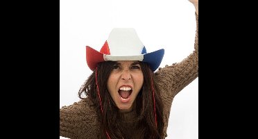 Cowboyhoed Franse Vlag