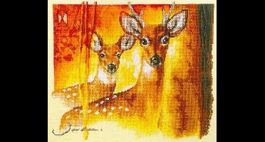 Vervaco borduurpakket - Beautiful eyes
