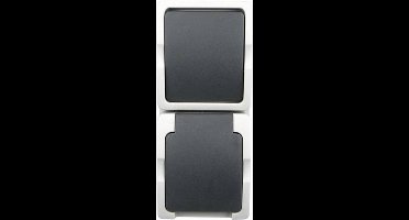 Ratio Schakelaar en stopcontact - spatwaterdicht - verticaal - IP54 - 250V - 16A - plastic