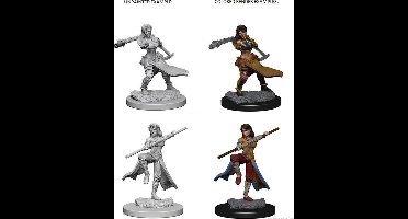 D&D Nolzur's Marvelous Miniatures Human Monk Female