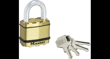 MasterLock Excell hangslot 50 mm - beugellengte 25 mm