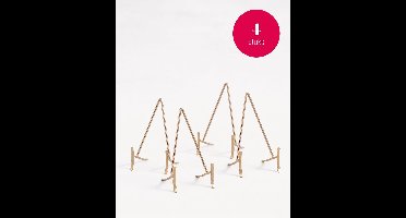 vtwonen - Bordenstandaard - Bordenhouder - Goud - 11x20 cm - Set van 4