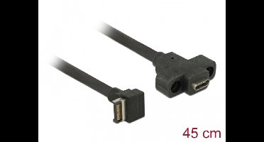 Delock Cable USB 3.1 Gen 2 key A 20 pin male > USB 3.1 Gen 2 USB Type-C™ female panel-mount 45 cm