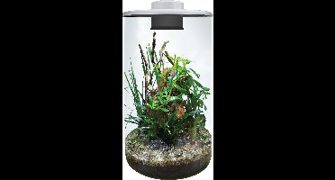 BIOART Cylinder 285 wit 4 liter glazen plantenterrarium met LED, timer en ventilatie
