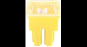 FLF-S pal zekering 60 amp 1 stuk