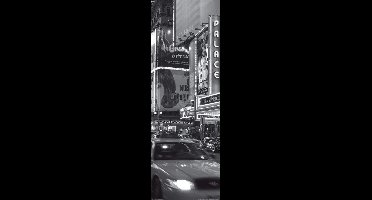 Kunstdruk Alan Copson - Times Sqare at night, New York 33x95cm